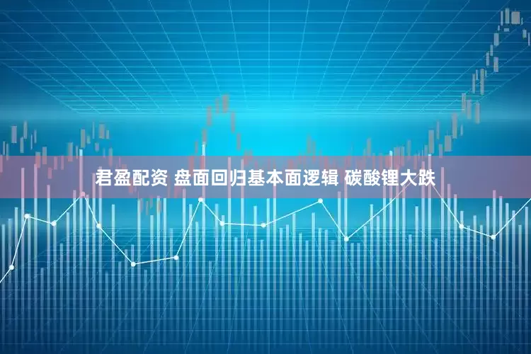 君盈配资 盘面回归基本面逻辑 碳酸锂大跌