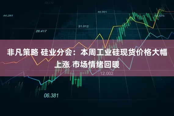 非凡策略 硅业分会：本周工业硅现货价格大幅上涨 市场情绪回暖