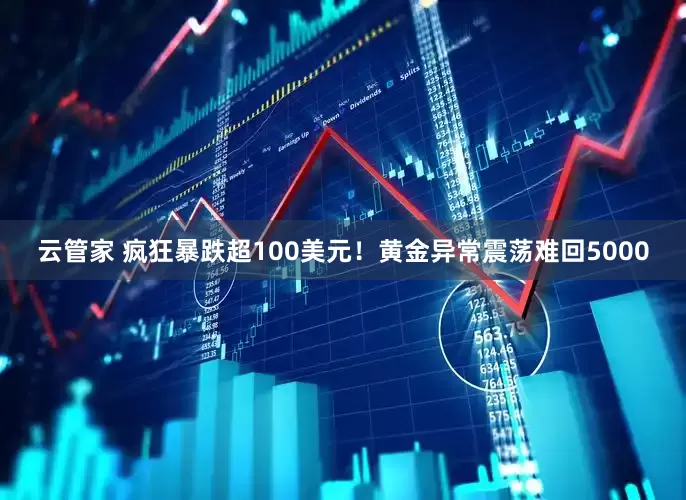 云管家 疯狂暴跌超100美元！黄金异常震荡难回5000